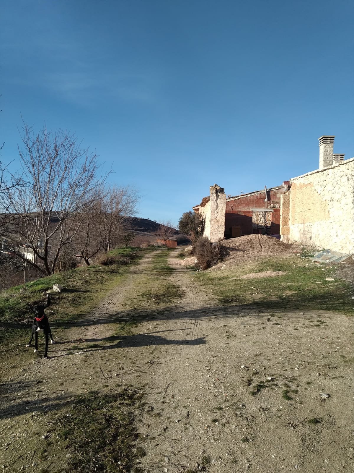 Replanteo topográfico de rasantes en calles de Molpeceres